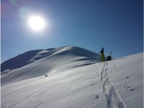 プランの魅力 您可以欣賞八甲田的廣闊景色。 の画像