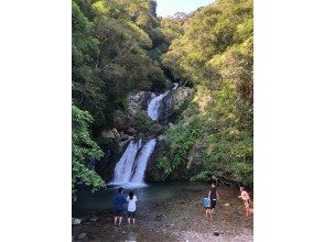 プランの魅力 迫力満点! の画像