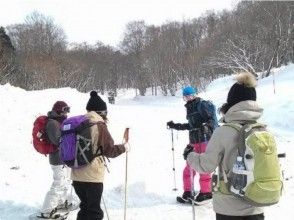 プランの魅力 初心者の方でも歓迎です！ の画像