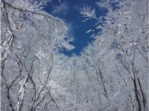 プランの魅力  の画像