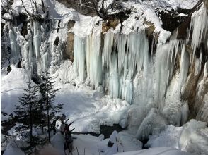 プランの魅力 日の光が差し込瞬間 の画像