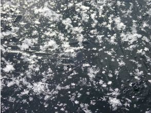プランの魅力 フロストフラワー(雪の花) の画像