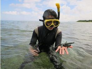 プランの魅力 ヒトデに遭遇! の画像