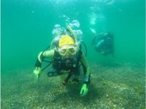 プランの魅力 在神秘的海中 の画像