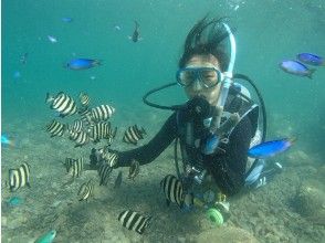 プランの魅力 お魚一杯 の画像