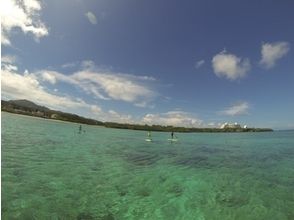 プランの魅力 海の生き物まで楽しめる! の画像