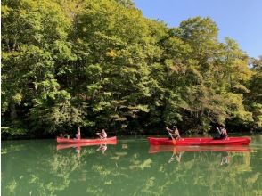 プランの魅力 Let's be together with nature! の画像