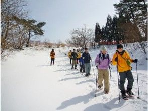 プランの魅力 のんびり散策 の画像