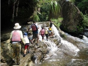 プランの魅力 Trekking through the jungle towards Nara Falls. Children are also challenging の画像