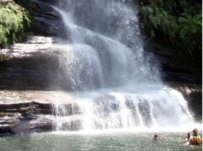 プランの魅力 Phantom Nara Falls! の画像