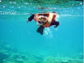 プランの魅力 Snorkeling in the sea of Iriomote! Coral reefs and tropical fish welcome you! の画像