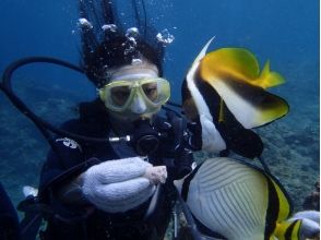 プランの魅力 我也在喂 の画像