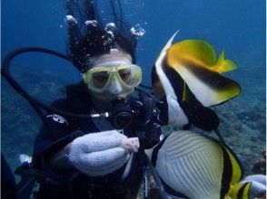 プランの魅力 Feeding is this close の画像