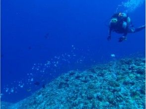 プランの魅力 出色的透明度♪ の画像