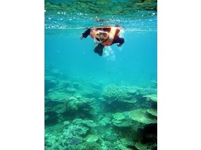 プランの魅力 Snorkel the sea of Iriomote on the beach of Ida. You will want to see the beauty of the sea forever. の画像