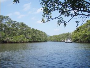 プランの魅力 マングローブ林の迫る川をボートで登ります。 の画像