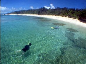 プランの魅力 在帕纳里海浮潜！珊瑚礁和热带鱼欢迎您！ の画像