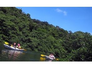 プランの魅力 パドルを漕いでマングローブの林が迫る川を登り、先に見えるピナイサーラの滝をま目指します の画像