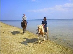 プランの魅力 가족이나 동료와 함께 즐거운 추억을 만들어 보자! の画像