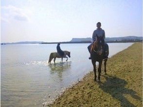 プランの魅力 浜辺をゆっくりと歩きます！ の画像