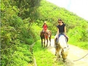 プランの魅力 山でマイナスイオンを浴びてください！ の画像