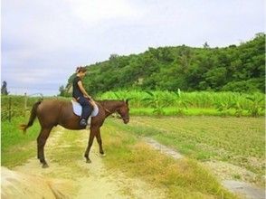 プランの魅力 가족이나 동료와 함께 즐거운 추억을 만들어 보자! の画像