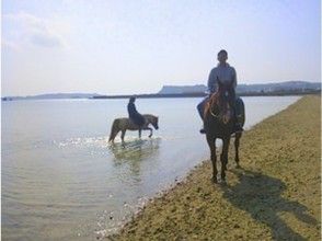 プランの魅力 Walk slowly on the beach! の画像