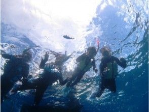 プランの魅力 まるで海を飛んでるよう の画像