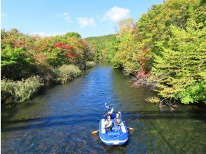 プランの魅力 自然あふれる千歳川 の画像