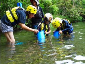 プランの魅力 Search for fish in shallow waters の画像