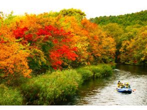 プランの魅力 The autumn leaves are also the best の画像