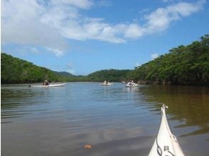 プランの魅力 划桨游览接近红树林的河。 の画像