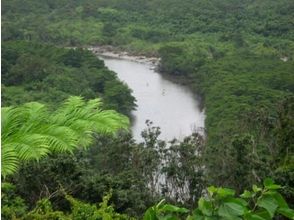 プランの魅力 A view just like a subtropical jungle. の画像