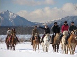 プランの魅力 ทุ่งหิมะในสนามม้าในฤดูหนาว の画像