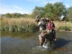 プランの魅力 川遊び！ の画像