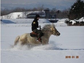 プランの魅力 新雪乗馬！ の画像