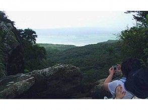 プランの魅力 You can see the blue sea and Yaejima from the highest peak of Iriomote Island の画像