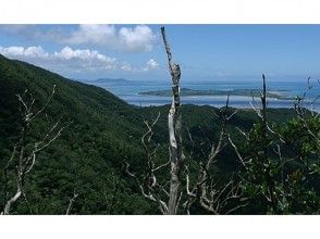 プランの魅力 西表島の亜熱帯の森の緑、澄んだ海の青が望める絶景です の画像