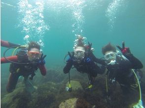 プランの魅力 diving! の画像