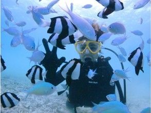 プランの魅力 在半日游中有效利用您的旅行时间！ の画像