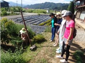 プランの魅力 You can also talk to the locals の画像