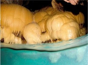 プランの魅力 Climb a pumpkin floating in the sea and explore to the back の画像