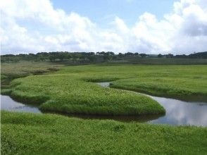 プランの魅力 大自然を実感できます！ の画像