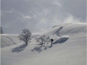 プランの魅力 파우더가 매우 기분 좋은 ~! の画像