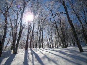 プランの魅力 自分の足で訪れるからこそ触れる事の出来る景色。 の画像