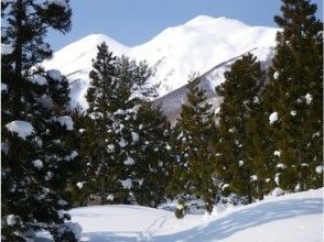 プランの魅力 當我回頭時，我沉浸在餘輝中。我的臉頰不由自主地鬆動了。 の画像