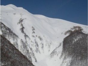 プランの魅力 スティープなシュートが沢山あります。 の画像