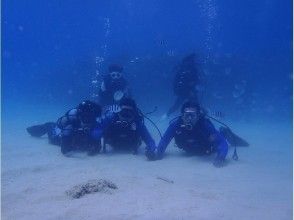 プランの魅力 優雅地慢慢享受潛水（^。^） の画像