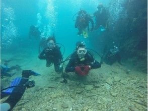 プランの魅力 Experience diving on a circle trip of students ♪ の画像