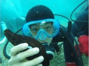 プランの魅力 A boy touching a sea cucumber (^^ ♪ の画像